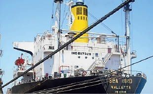 «البيئة» تحقق في أسباب تلوث ميناء سفاجا